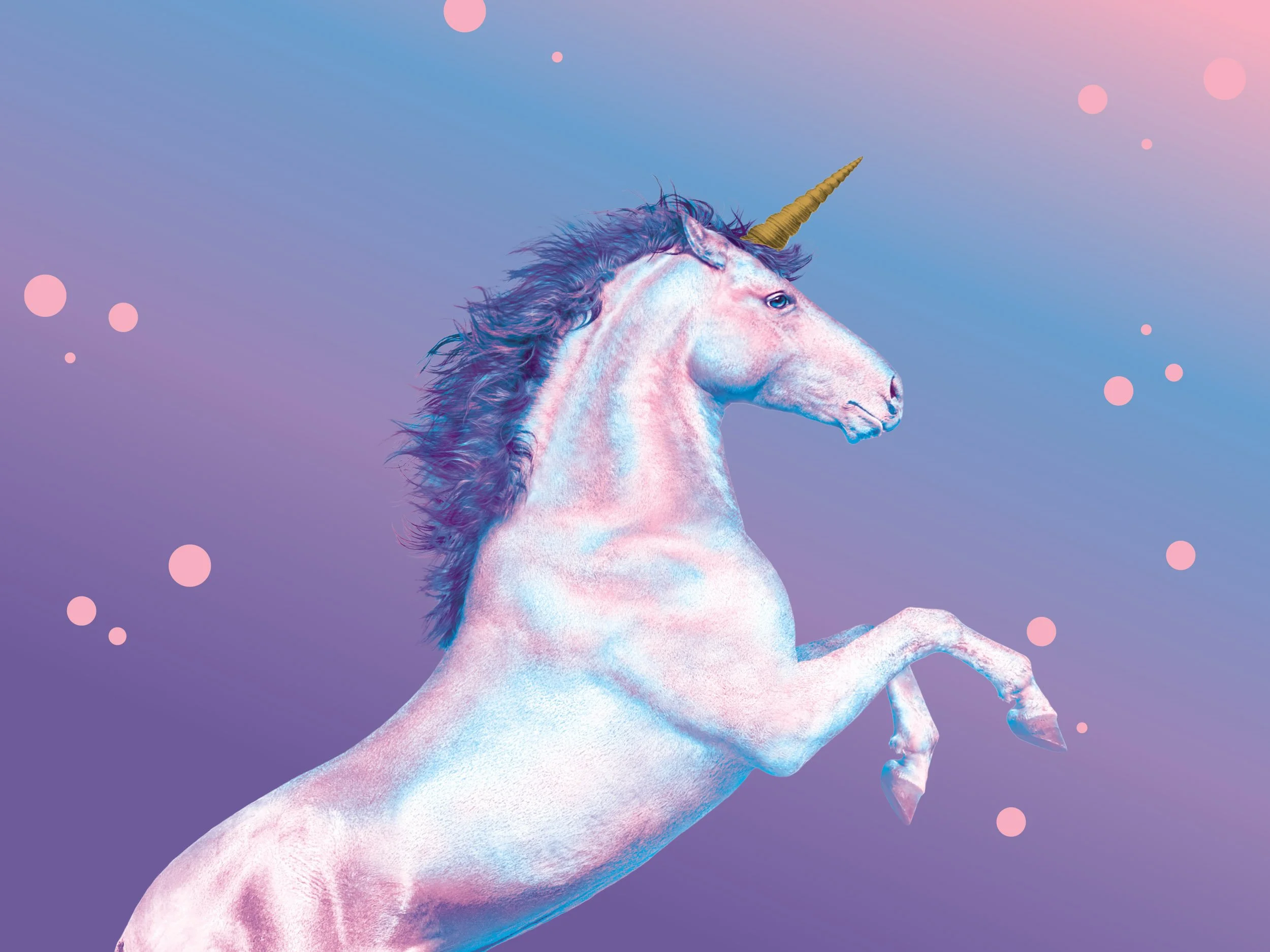 14 Hands Unicorn — Lisa Halstead